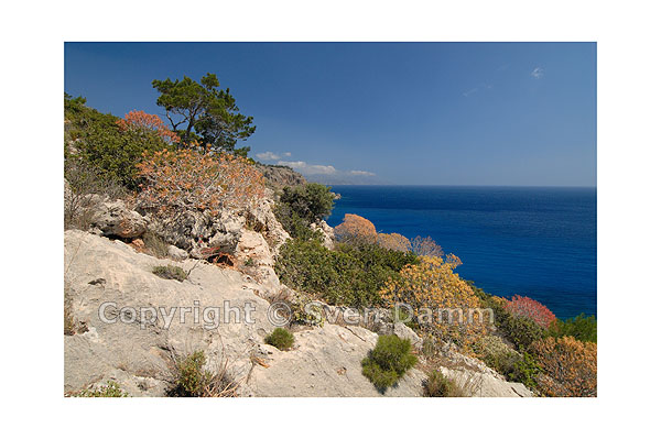 Image order number: KARP06K2_112