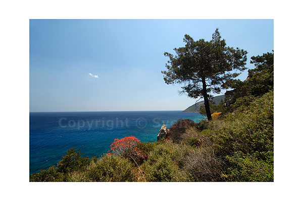 Image order number: KARP06K2_139