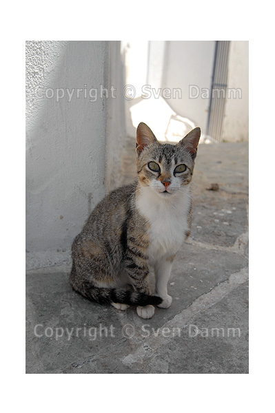 Image order number: KARP06K6_94