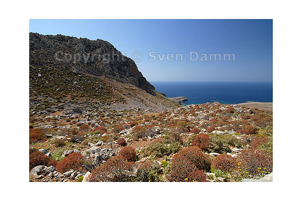 Image order number: KARP06K8_69