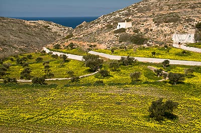 Karpathos Blumen
